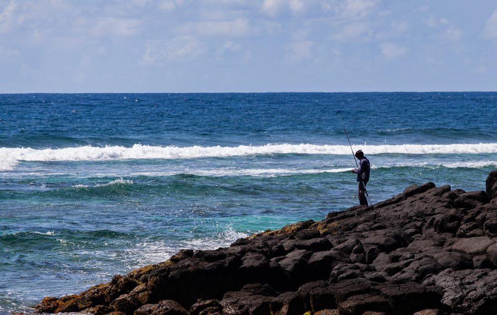 mauritius, coastline, sea view