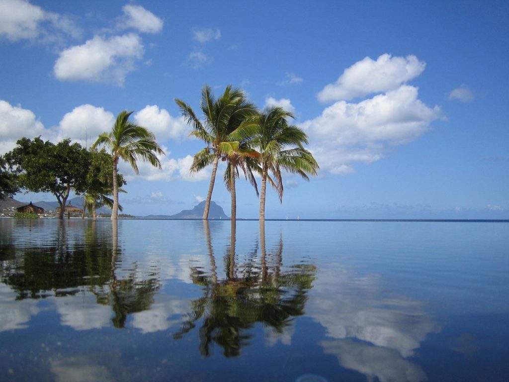 mauritius, pool, palm trees
