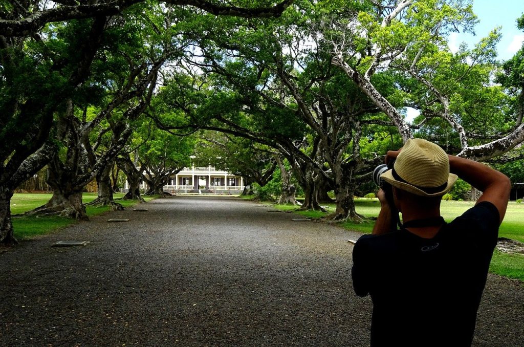 photographer, country house, mauritius