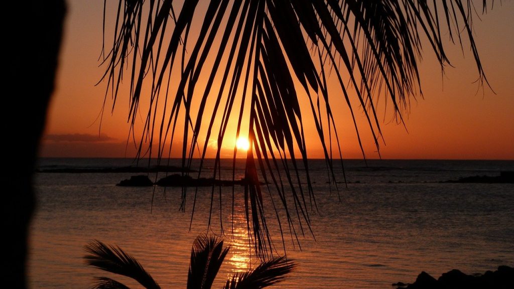 mauritius, sunset, palm trees