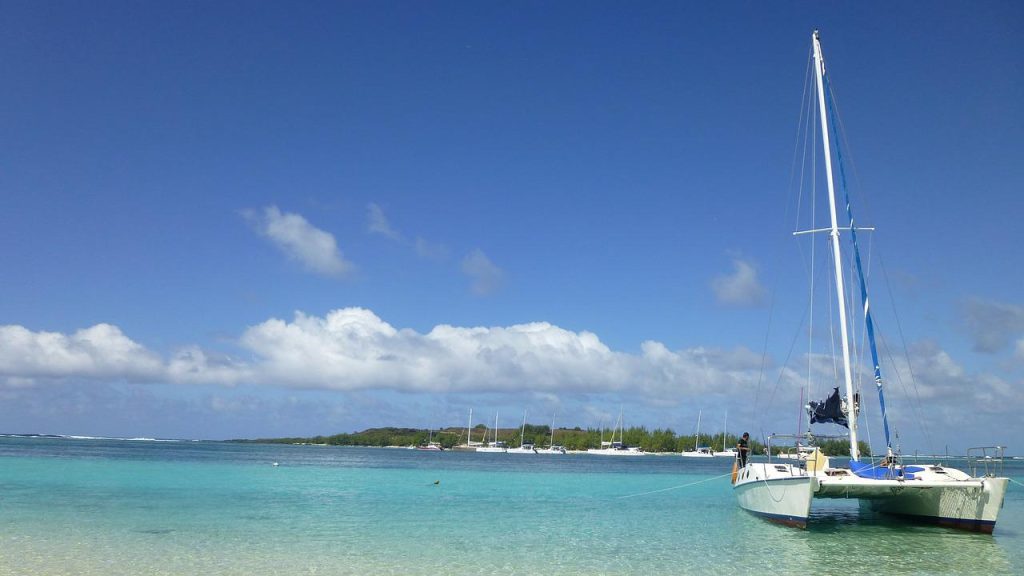 catamaran, sailing ship, ship