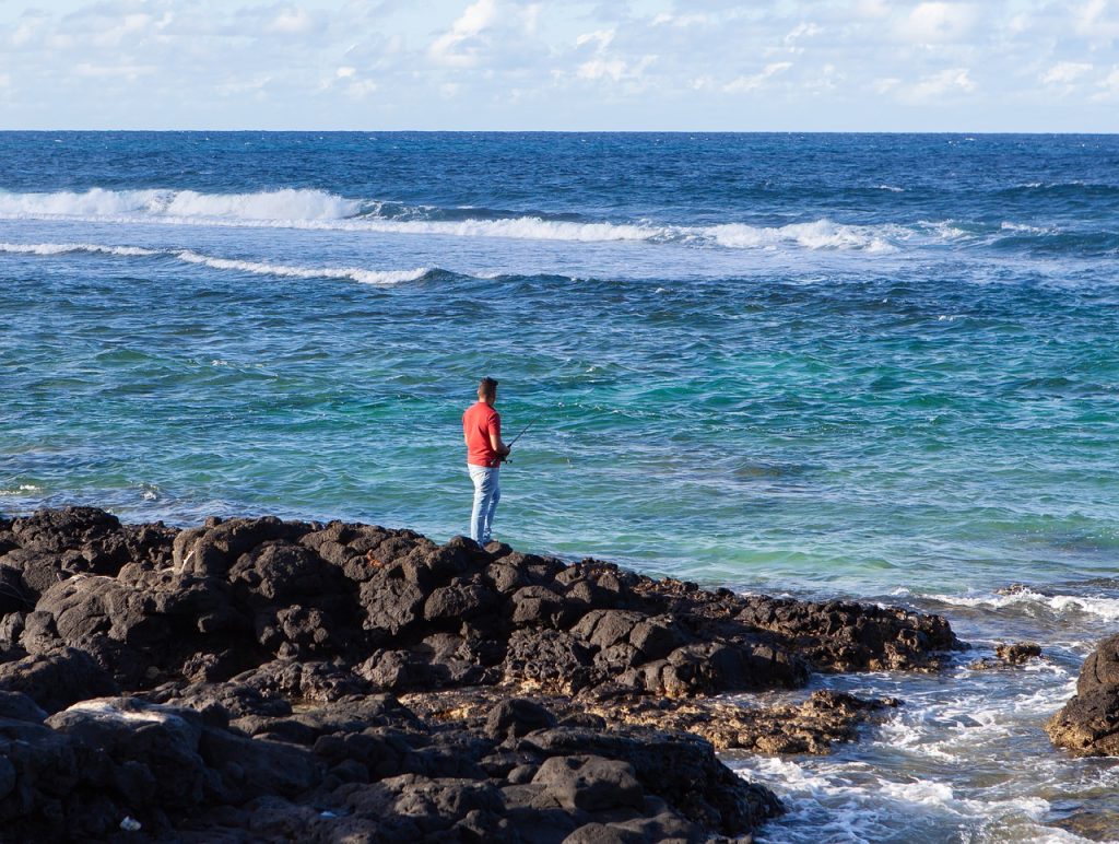 mauritius, coastline, sea view