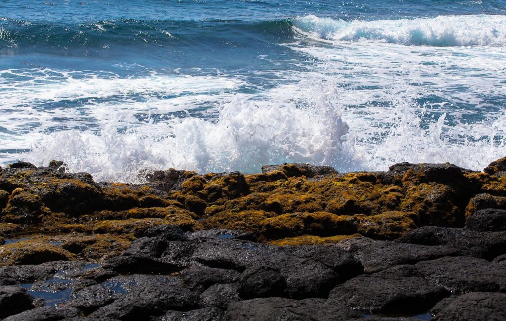 mauritius, coastline, sea view