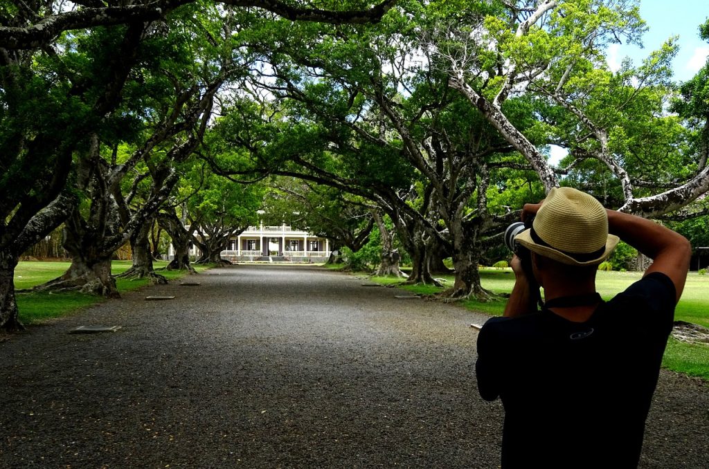 photographer, country house, mauritius